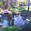 Rancho Santa Fe Pond Service/rancho santa fe
