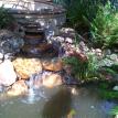 Rancho Santa Fe Pond Service/carlsbad