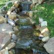 Rancho Santa Fe Pond Service/rancho santa fe