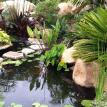 Rancho Santa Fe Ponds in Fairbanks Rancho San Diego CA.