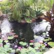 Rancho Santa Fe Ponds in Fairbanks Rancho San Diego CA.
