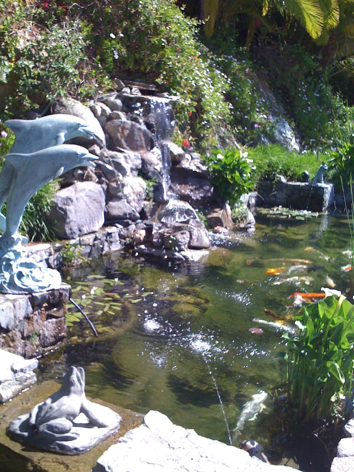 Rancho Santa Fe Pond Service, North County Ponds, San Diego Ponds, Waterfalls