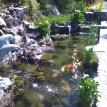 THe Summit in Rancho Santa FE