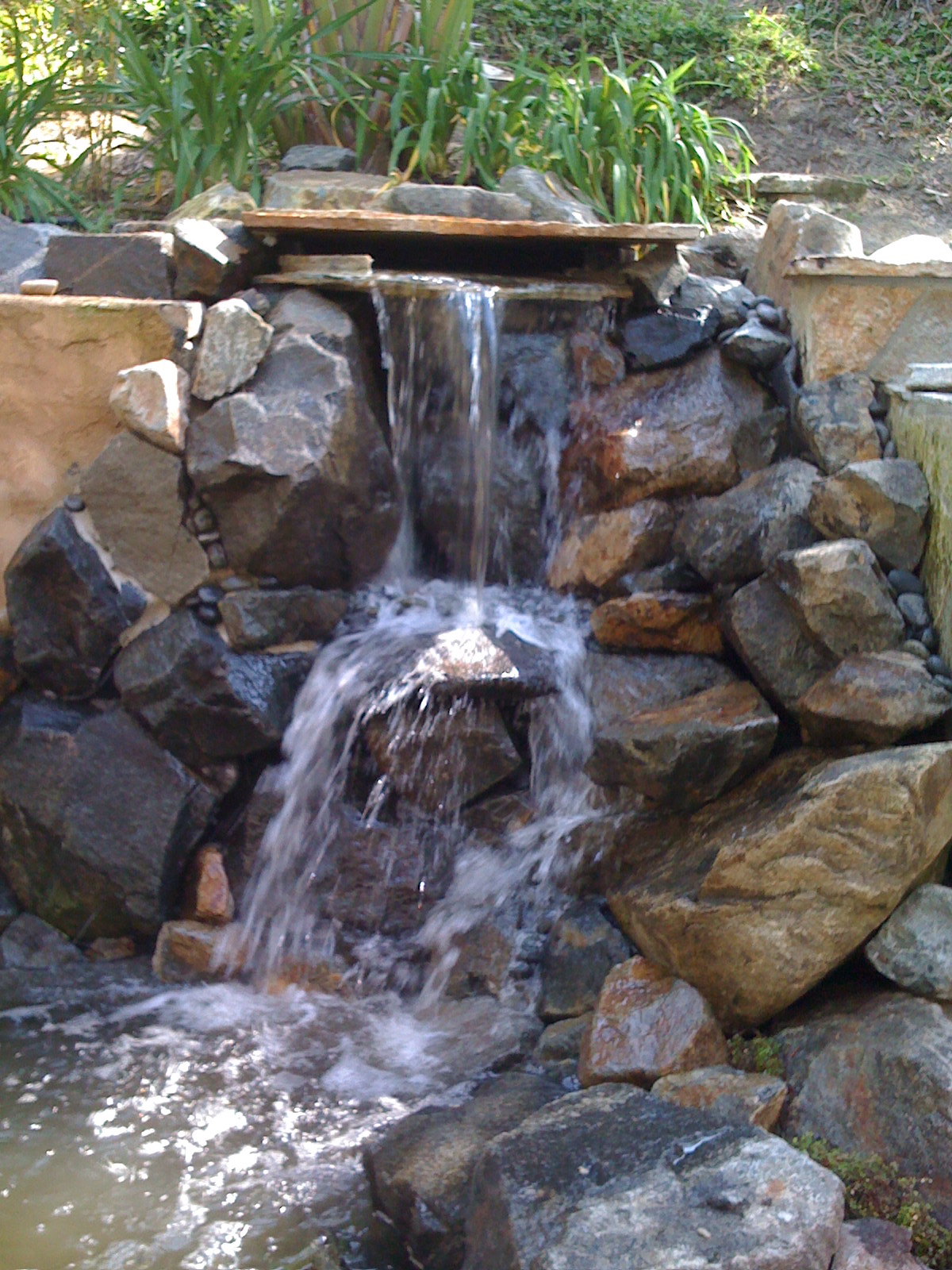 Rancho Santa Fe Pond Sevice, North County Ponds, Petes Pond Service
