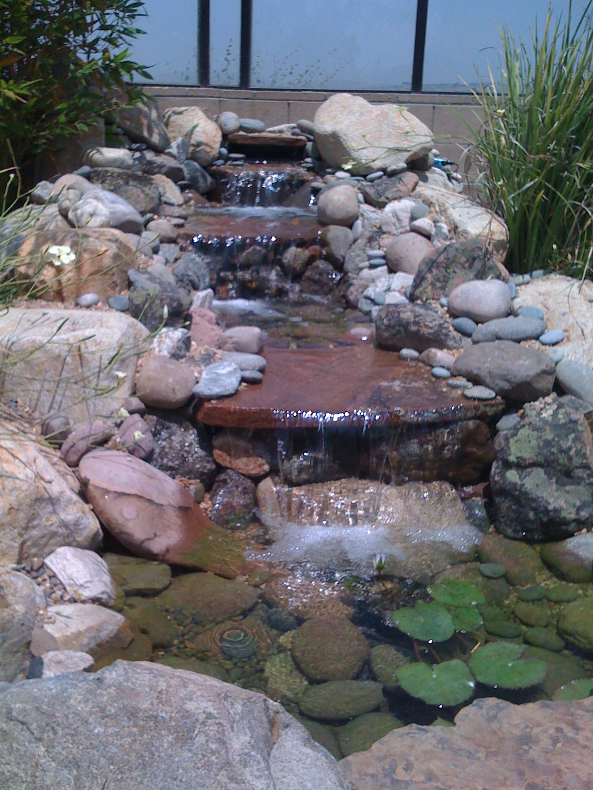 Carmel Valley Pond Service, Rancho Santa Fe Ponds, North County Ponds, San Diego