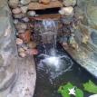 Point Loma Ponds