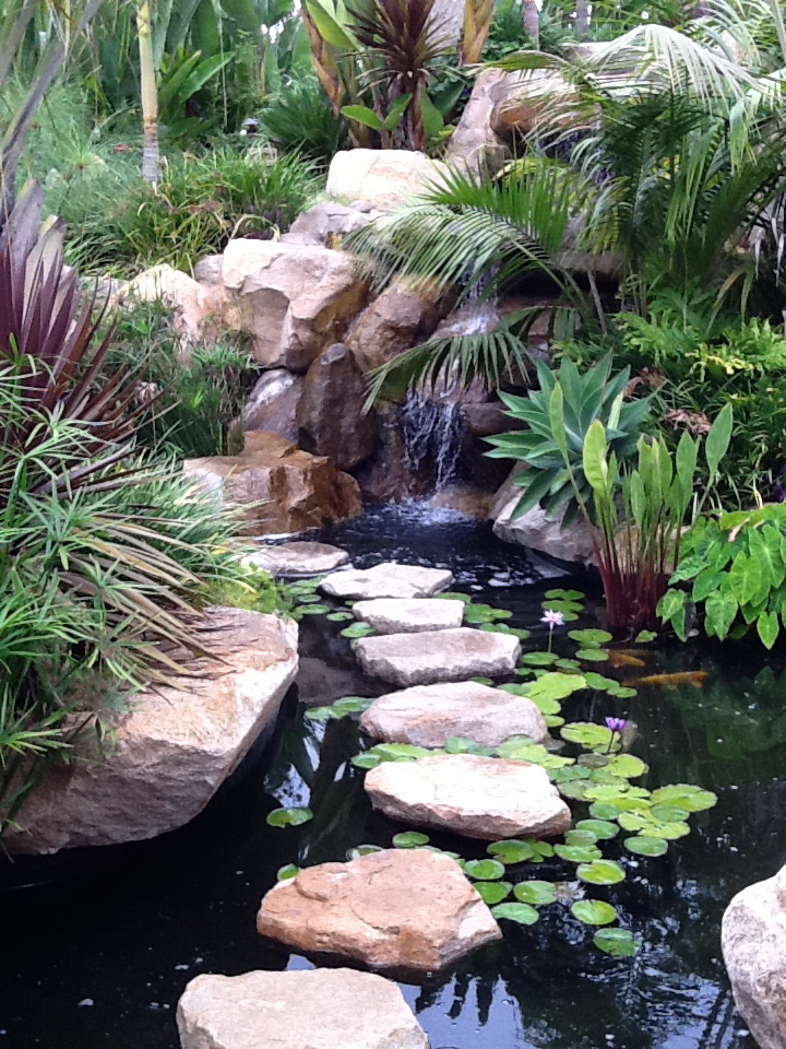 RanchoSantaFe,FainbanksRanch,Cardiff,LaJolla,PointLoma,Carlsbad,Poway