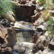 Rancho Santa Fe Pond Service/rancho santa fe