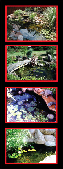 rancho santa fe pond service