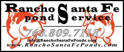 rancho santa fe ponds 