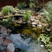 Rancho Santa Fe Pond Service/la jolla