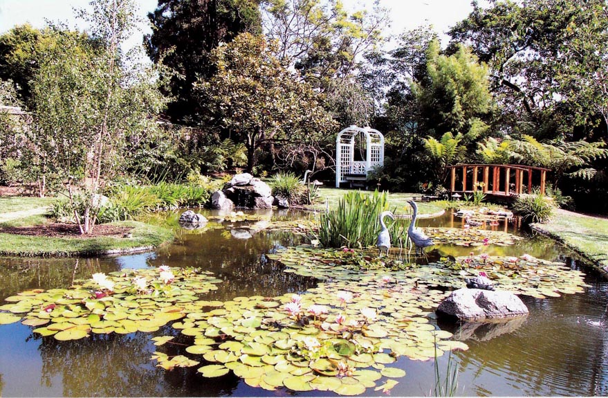 PiontLomaPondService,SanDiegoponds,NorthCountyPonds,Rancho Santa FE 