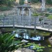 Rancho Santa Fe Pond Service/point loma