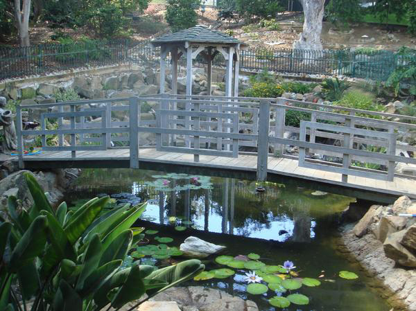Point Loma Ponds,Pond Service,Maintenance,Aquatic Design,Filter Instaulaion, 