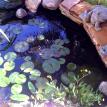 Rancho Santa Fe Pond Service/La Costa